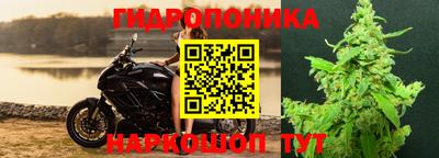 эйфоретик Шебекино