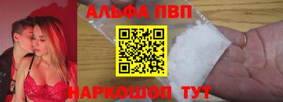 СК Шахты