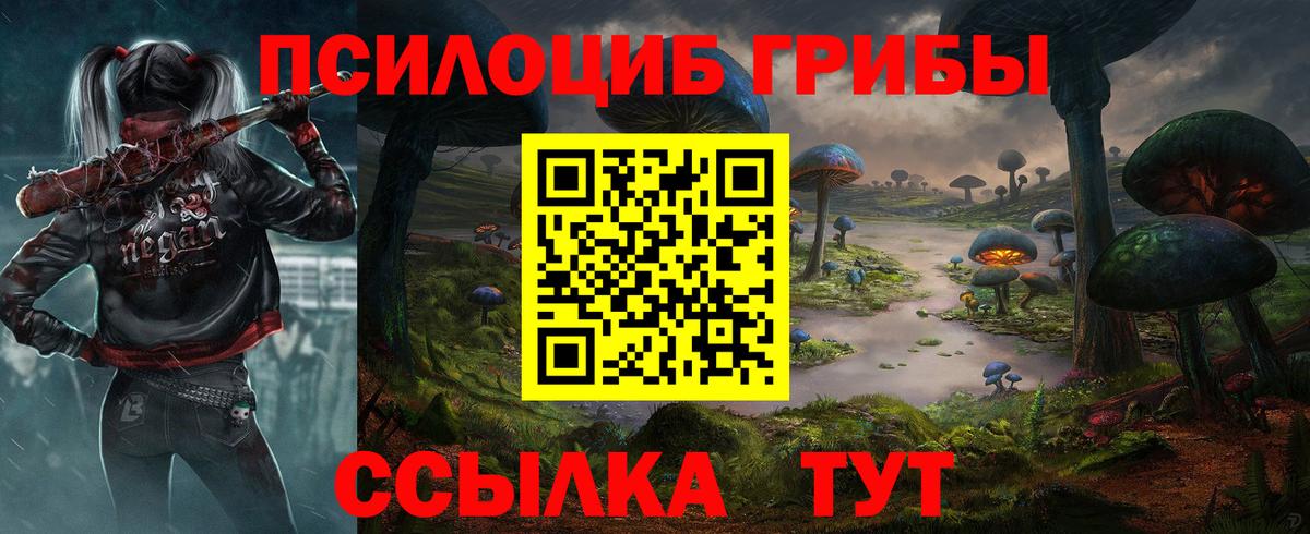Галлюциногенные грибы Psilocybe  Галлюциногенные грибы Cubensis  Кропоткин  сколько стоит  Вход с VPN 