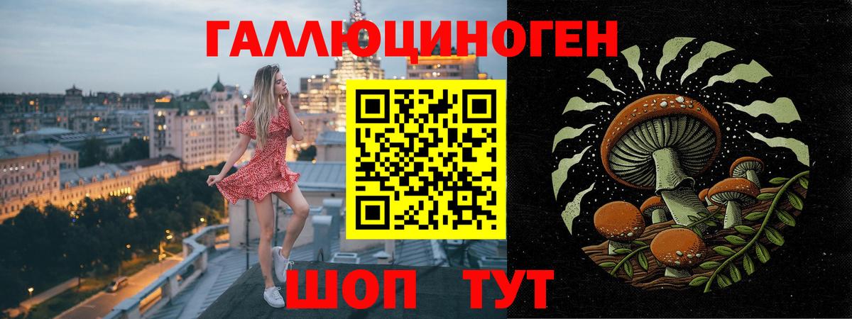 Галлюциногенные грибы Psilocybe Кропоткин